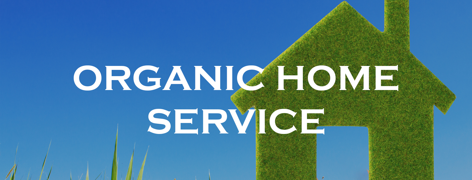 Cleaning Services in Dallas Organic Home Service